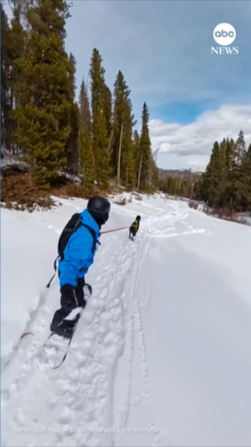 MIRAR: Un practicante de snowboard de Colorado no necesita mucha pendiente con este perro alrededor