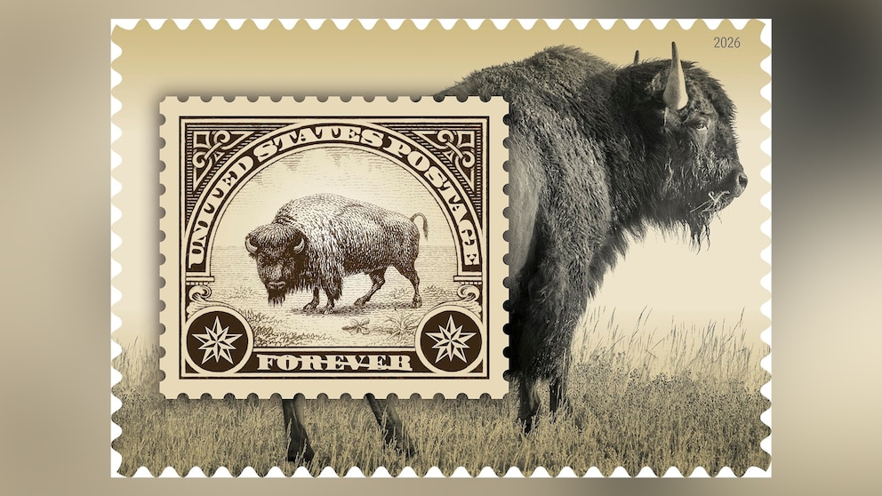 MIRAR: El próximo sello postal de EE. UU. presenta un bisonte de Yellowstone