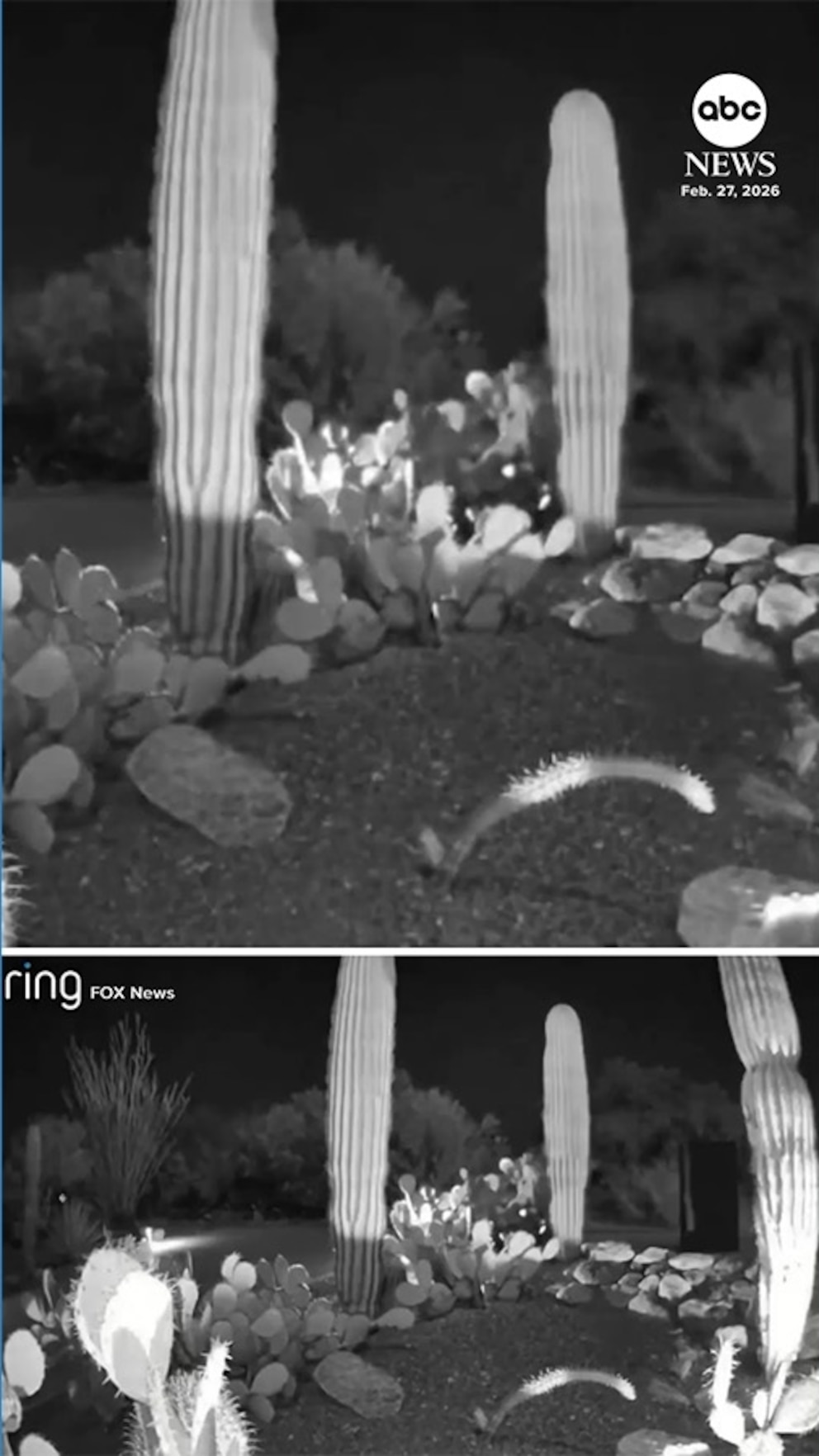 Aparece un nuevo vídeo de coche en la investigación de Nancy Guthrie