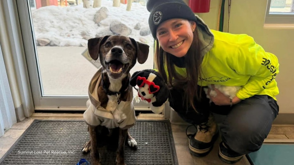 MIRAR: Familia de Colorado le dice a David Muir que encontraron a su perro desaparecido durante 43 días