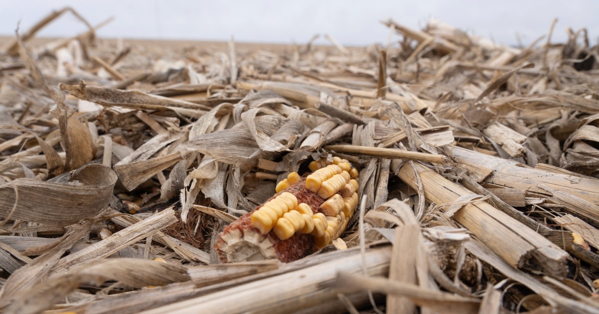 ¿Está Estados Unidos al borde de una crisis agrícola?