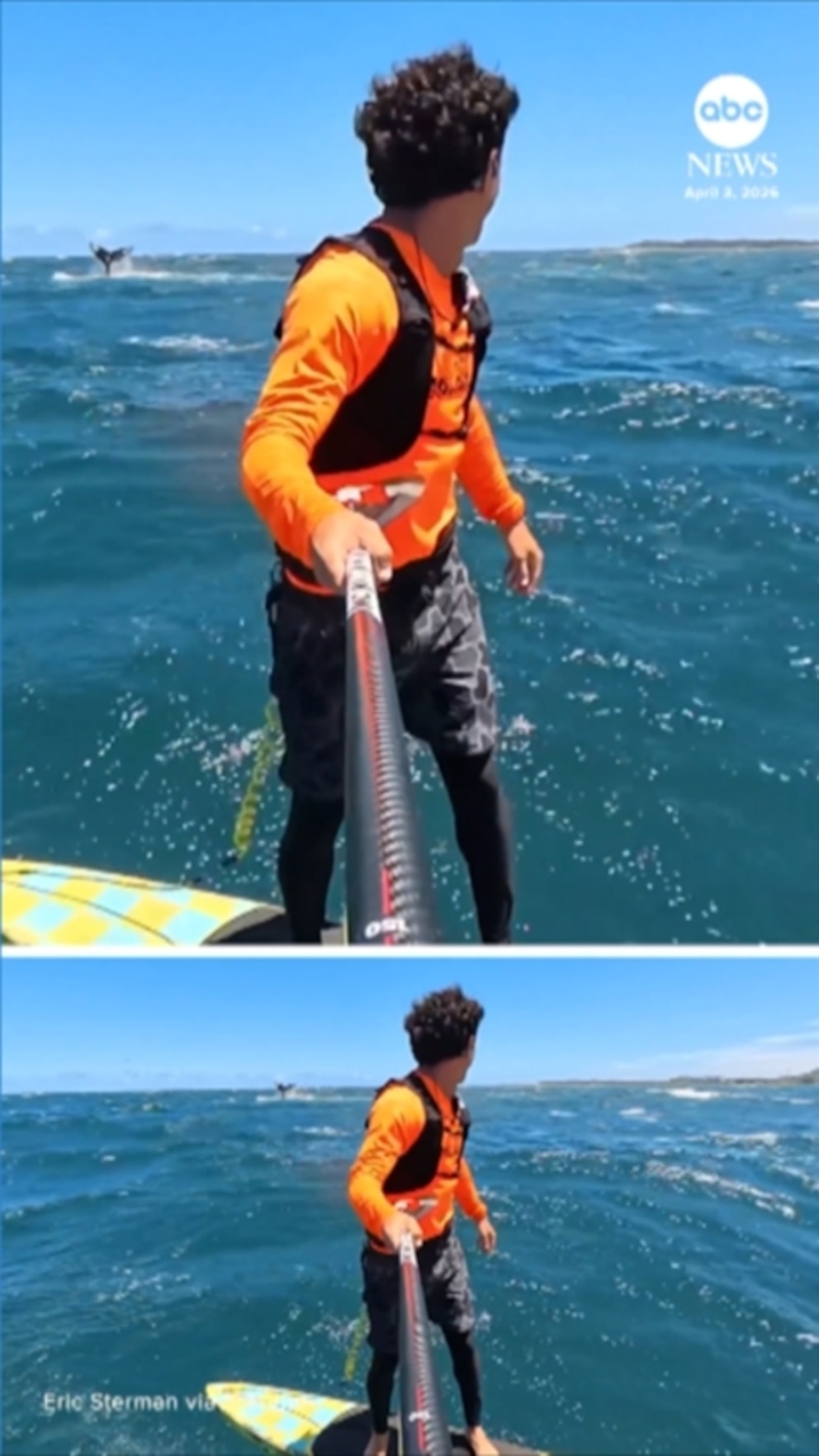 MIRAR: Ballena emerge justo al lado de un surfista en hidroplano frente a Hawaii