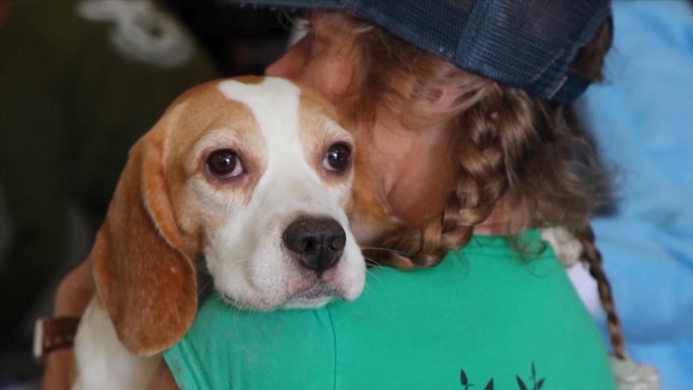 MIRAR: Las organizaciones de Wisconsin que ayudaron a sacrificar 1.500 beagles hablan con David Muir