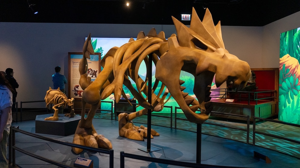 MIRAR: Esta exhibición del museo presenta Pokémon y fósiles reales