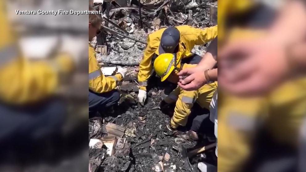 MIRAR: Anillo de bodas recuperado después del incendio de Simi Valley