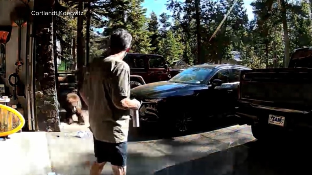 MIRAR: Un hombre de California lucha contra un oso que ataca cerca del lago Tahoe