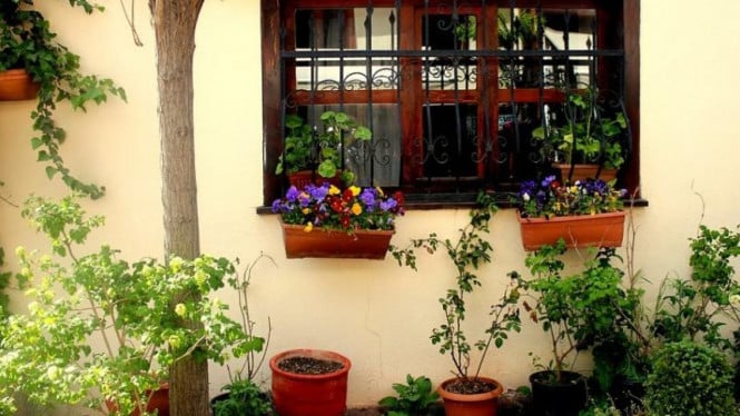 5 consejos para crear un ambiente hogareño en armonía con la naturaleza, ¡garantizado de ser fresco y tranquilo!