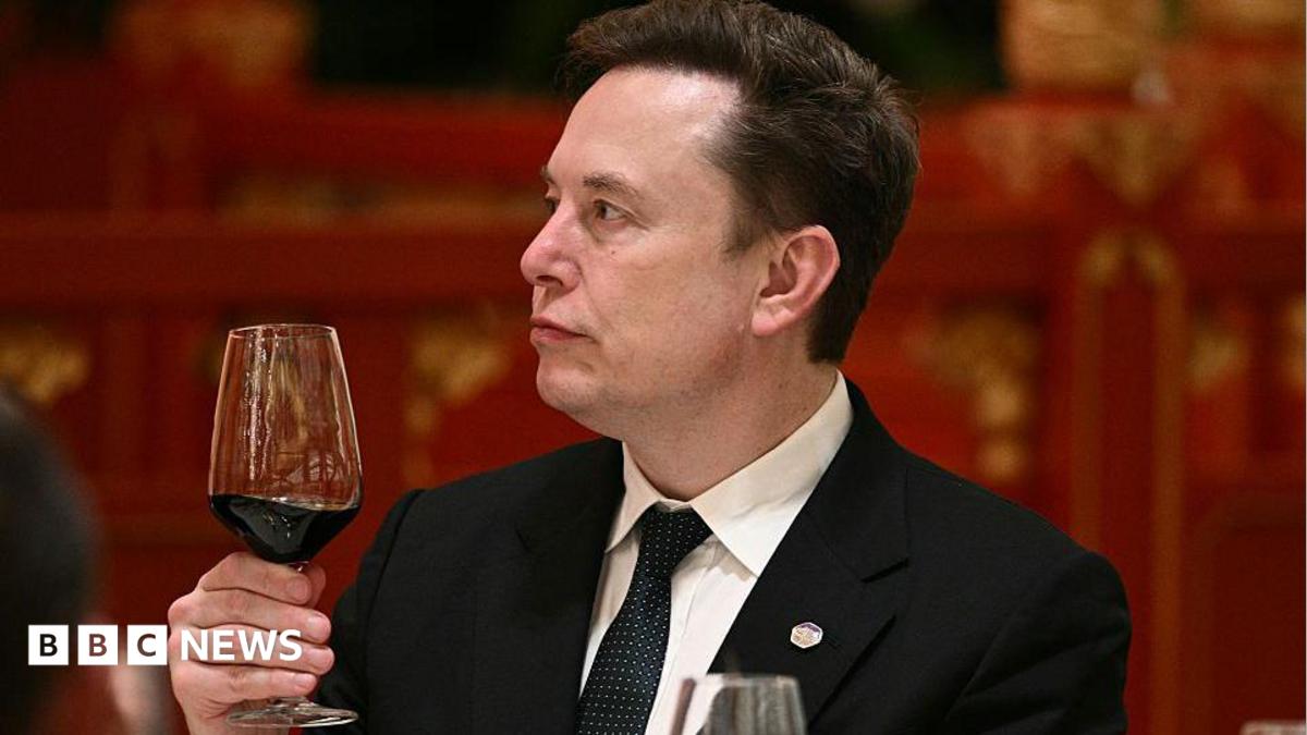 Elon Musk dice “Disfrutemos el viaje” a medida que aumentan las preocupaciones sobre el riesgo de la IA