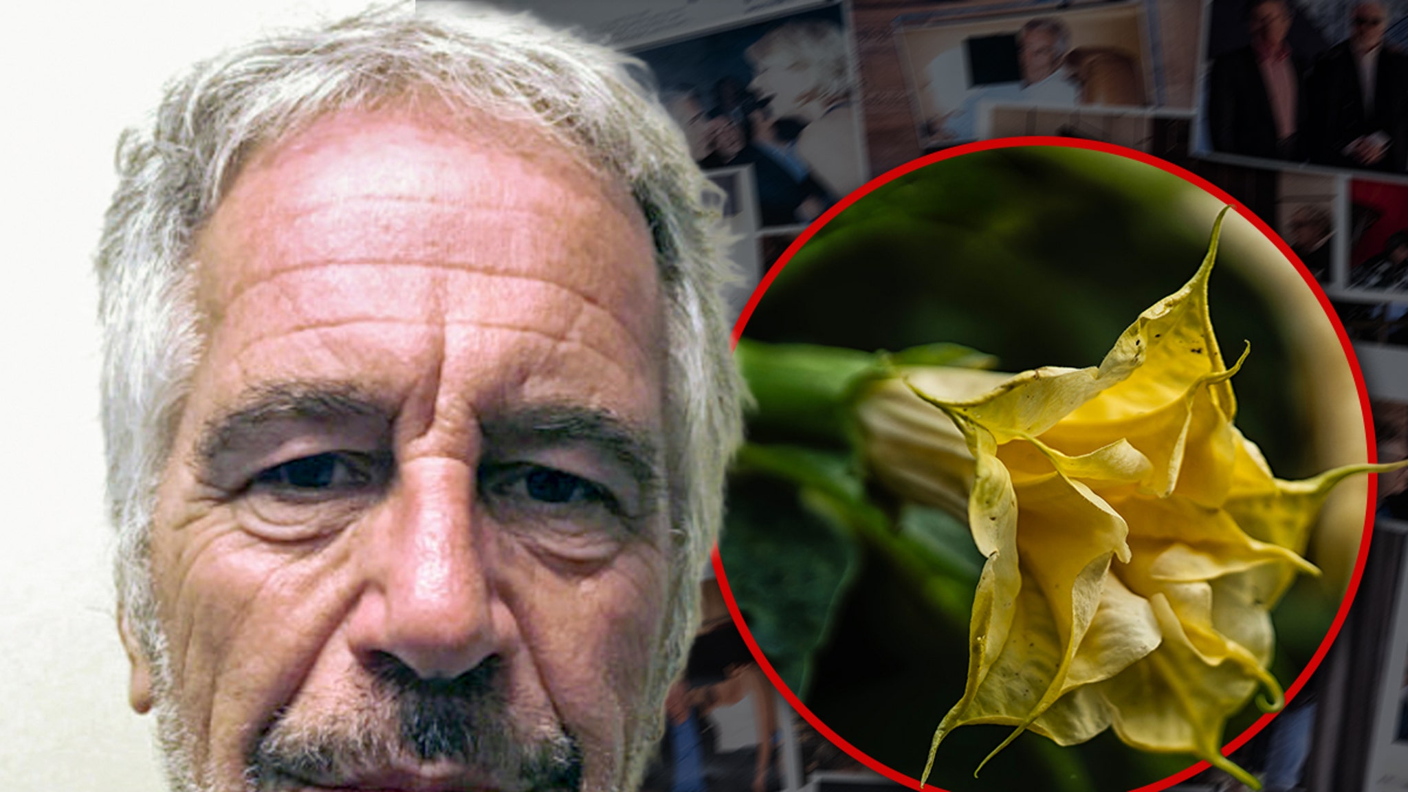 Los correos electrónicos de Jeffrey Epstein hacen referencia a las plantas tóxicas ‘drogas zombis’ que guardaba