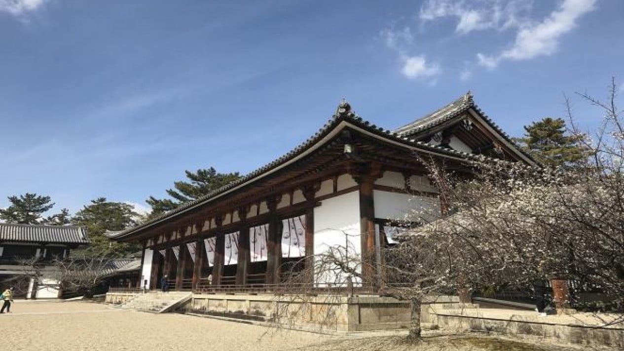 5966f26813c74-inilah-festival-musim-panas-di-jepang-yang-wajib-dikunjungi_1265_711.jpeg
