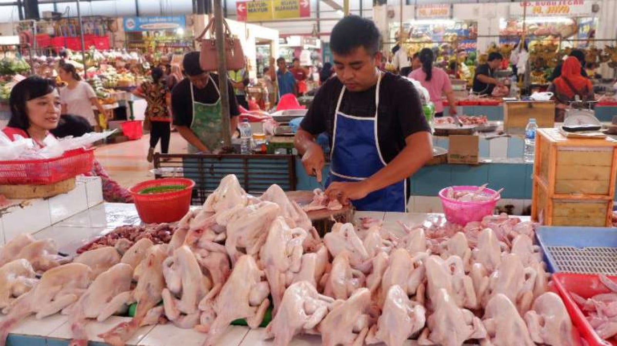 5a3ced6cc5159-pedagang-ayam-pasar-modern-bsd-city-m-safiq_1265_711.jpg
