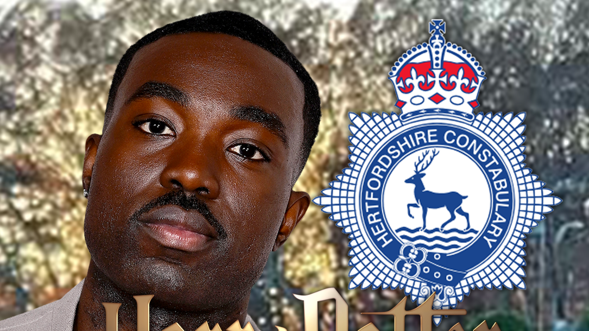 Las amenazas de muerte racistas de la serie ‘Harry Potter’ llaman la atención de la policía británica