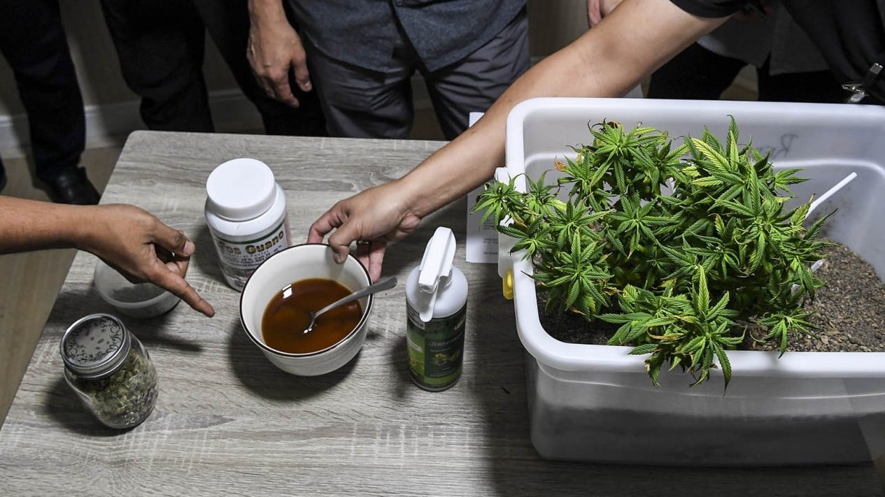 Barescream arresta a Sugiono, comerciante de marihuana disfrazado de cartón de fideos instantáneos