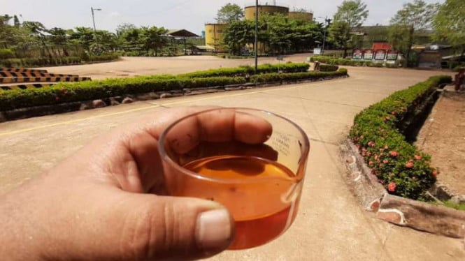 Los precios del CPO aumentaron en febrero de 2026, impulsados por una mayor demanda durante el Año Nuevo chino en el período previo al Ramadán.