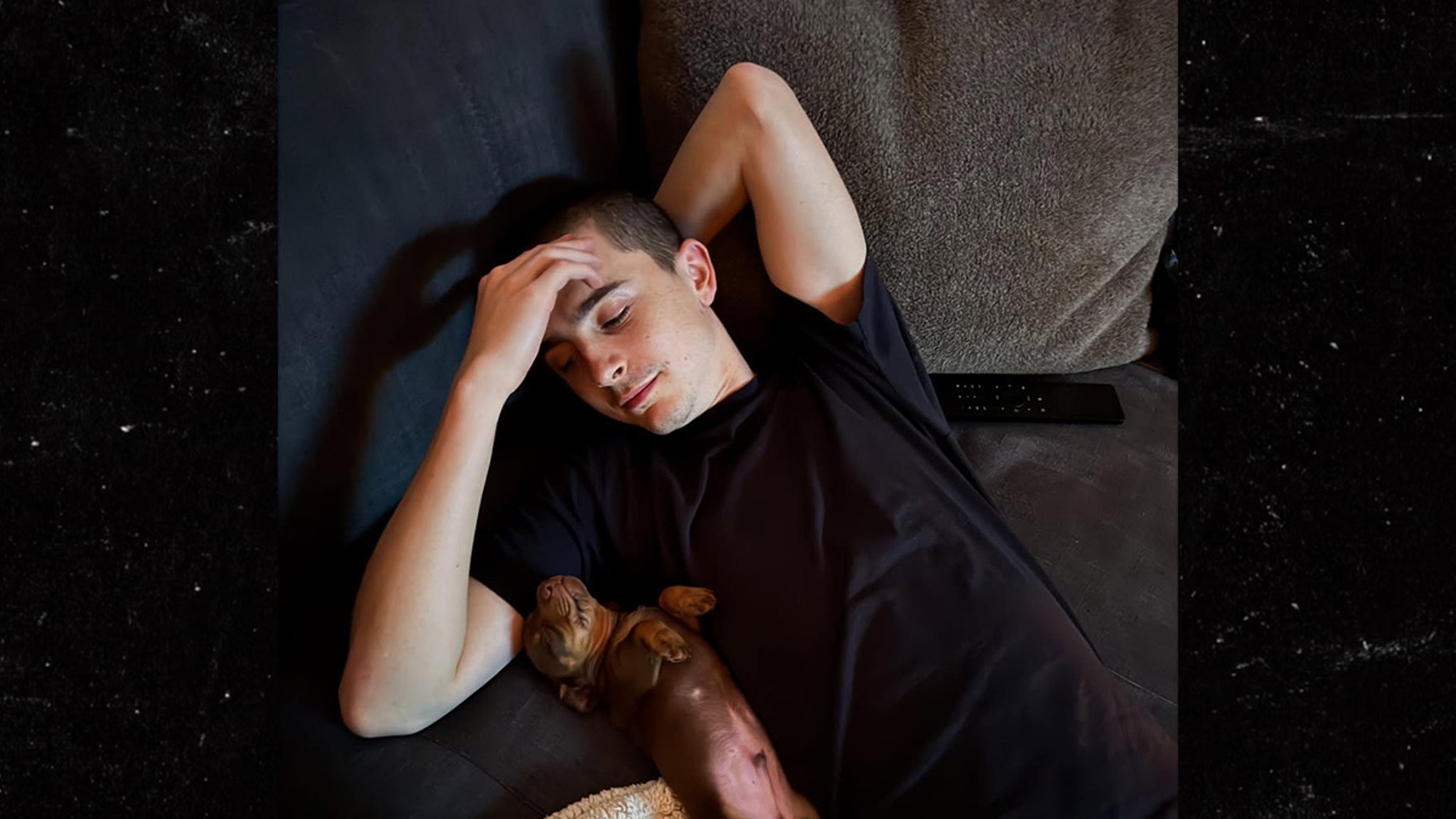 Timothée Chalamet recibe un cariñoso cachorro