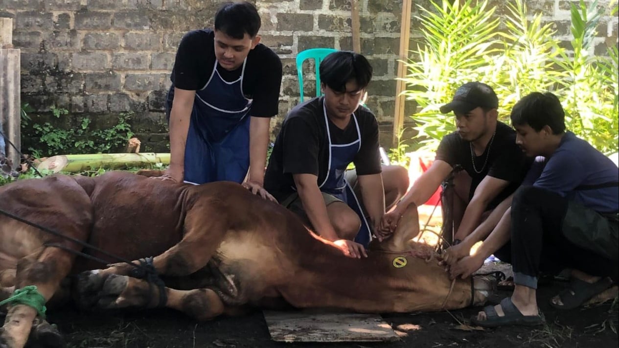 6675cc30cd5bb-iustrasi-hewan-kurban_1265_711.jpg