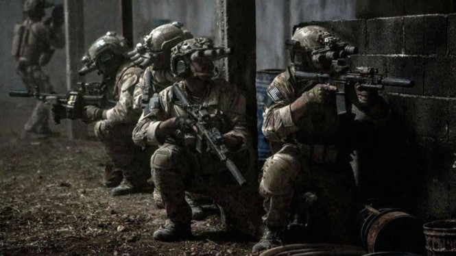 66e2e87138f9a-viva-militer-pasukan-khusus-navy-seal-team-six-amerika-serikat_665_374.jpg