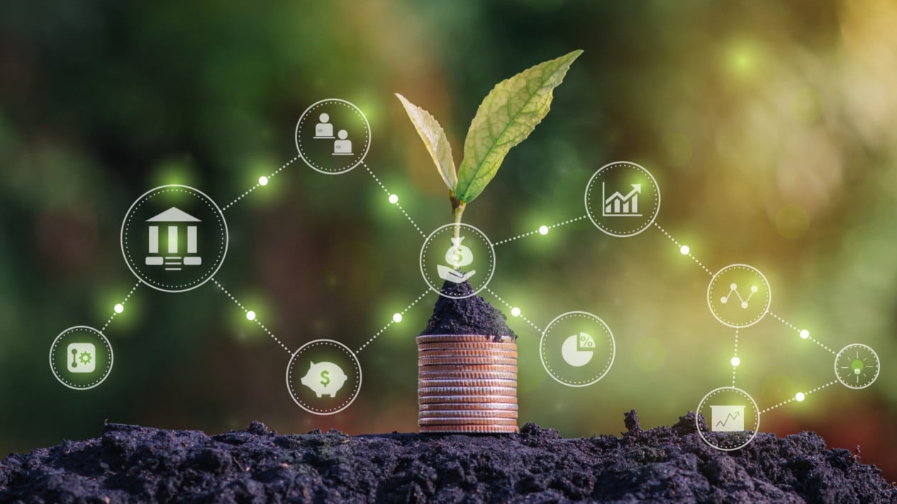 El Ministerio de Bosques ha logrado fortalecer la transparencia en la gobernanza del comercio de carbono