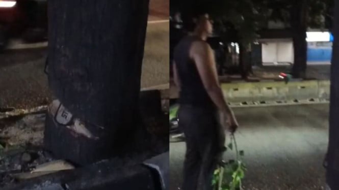 6967a5d79dd74-video-diduga-asn-terlibat-dalam-kasus-penebangan-pohon-ilegal_665_374.jpg