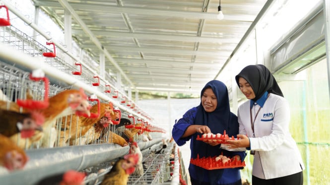 6976e51a5056a-ketahanan-pangan-berbasis-komunitas-yang-dilakukan-pnm_665_374.jpg