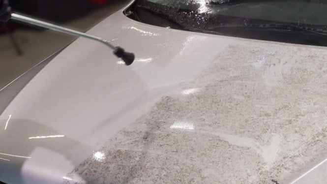 No entre en pánico, aquí le mostramos cómo deshacerse del moho en la carrocería de un automóvil.