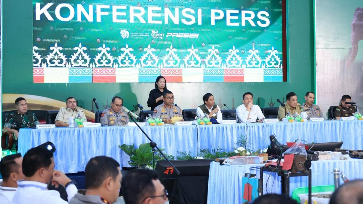 15 cazadores furtivos de elefantes de Sumatra arrestados, red ilegal expuesta desde Riau hasta Java