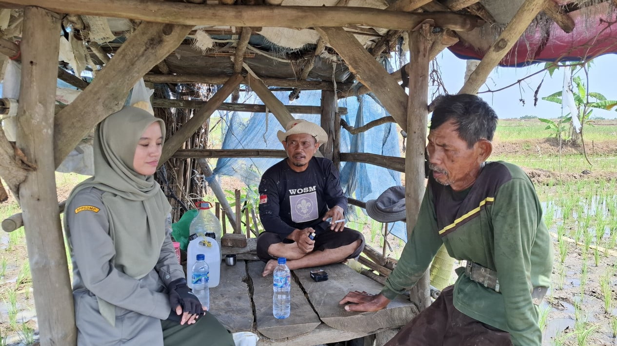 69f0f2472e378-petani-di-wilayah-majalengka-jawa-barat-tengah-dan-kanan_gemini_1265_711.jpg