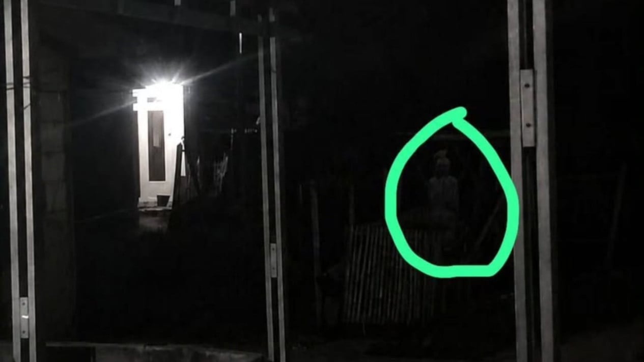 ¡La gente sólo crea contenido para mantenerse ocupada!