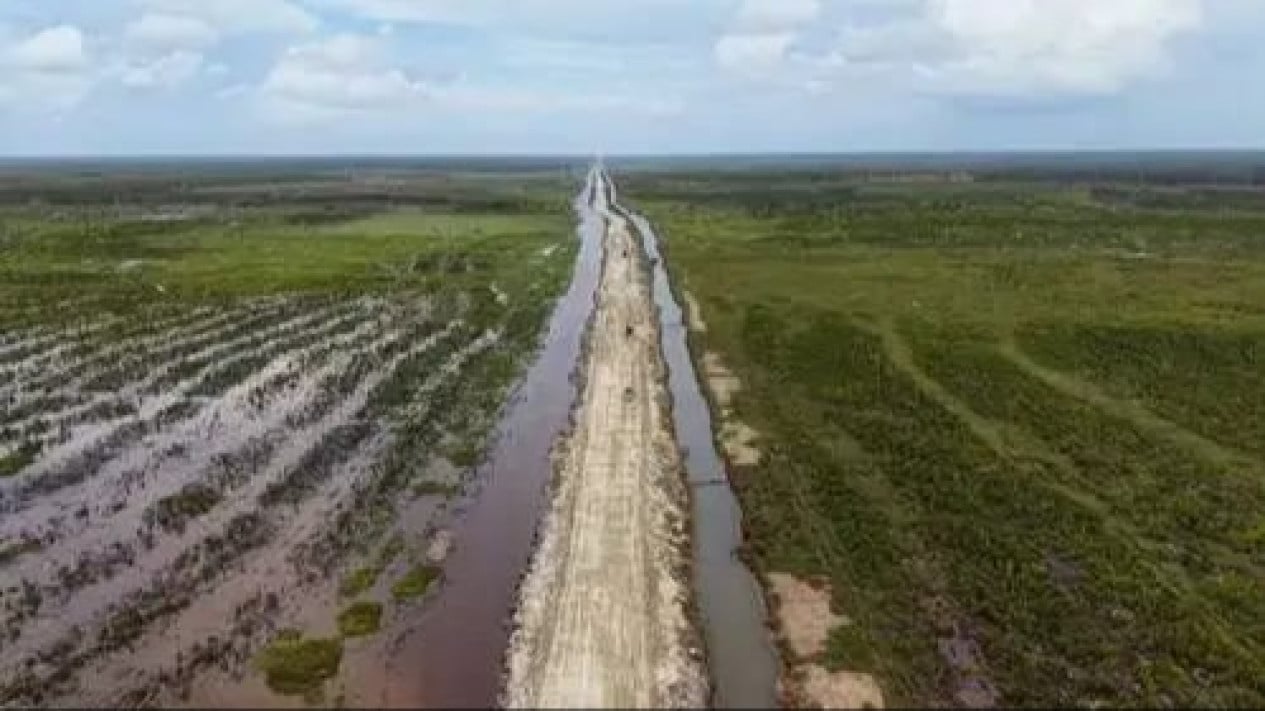 El desarrollo de fincas alimentarias en Papúa del Sur se considera importante para la soberanía alimentaria a largo plazo