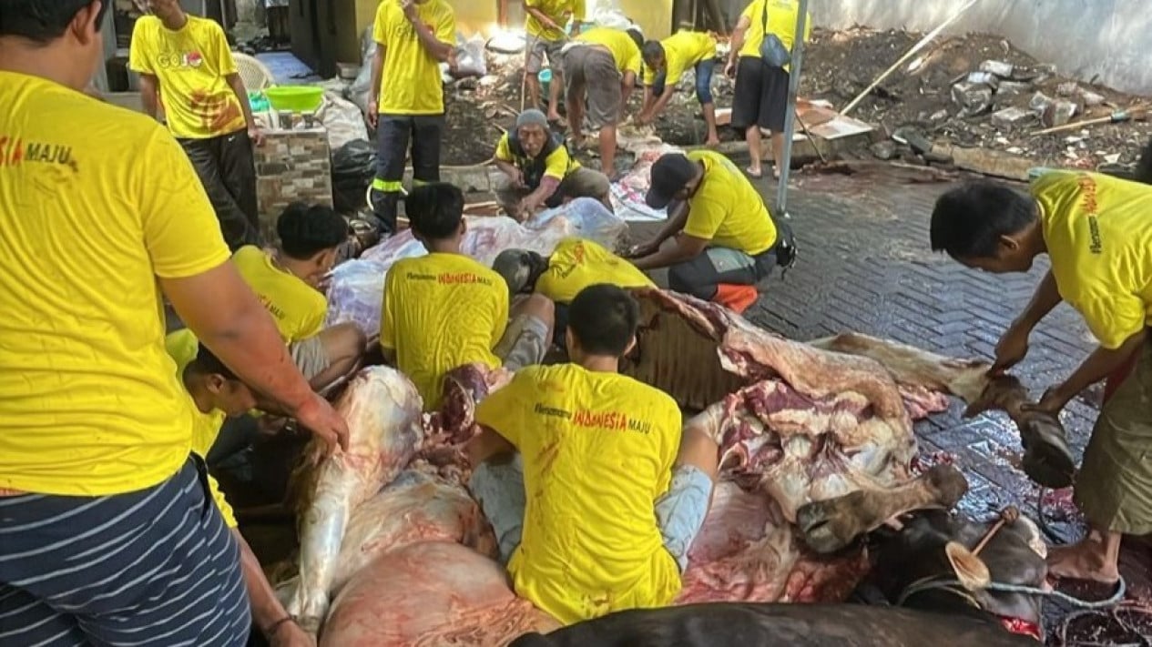 DKI Golkar distribuye 117 animales de sacrificio, Ahmed Zaki: impulso para fortalecer la conciencia social
