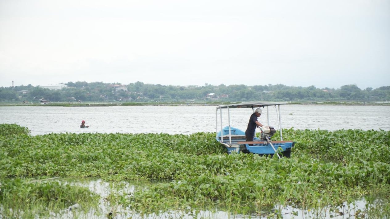 Empoderando al jacinto de agua, los productos de innovación de Ancubas logran una facturación de decenas de lakhs