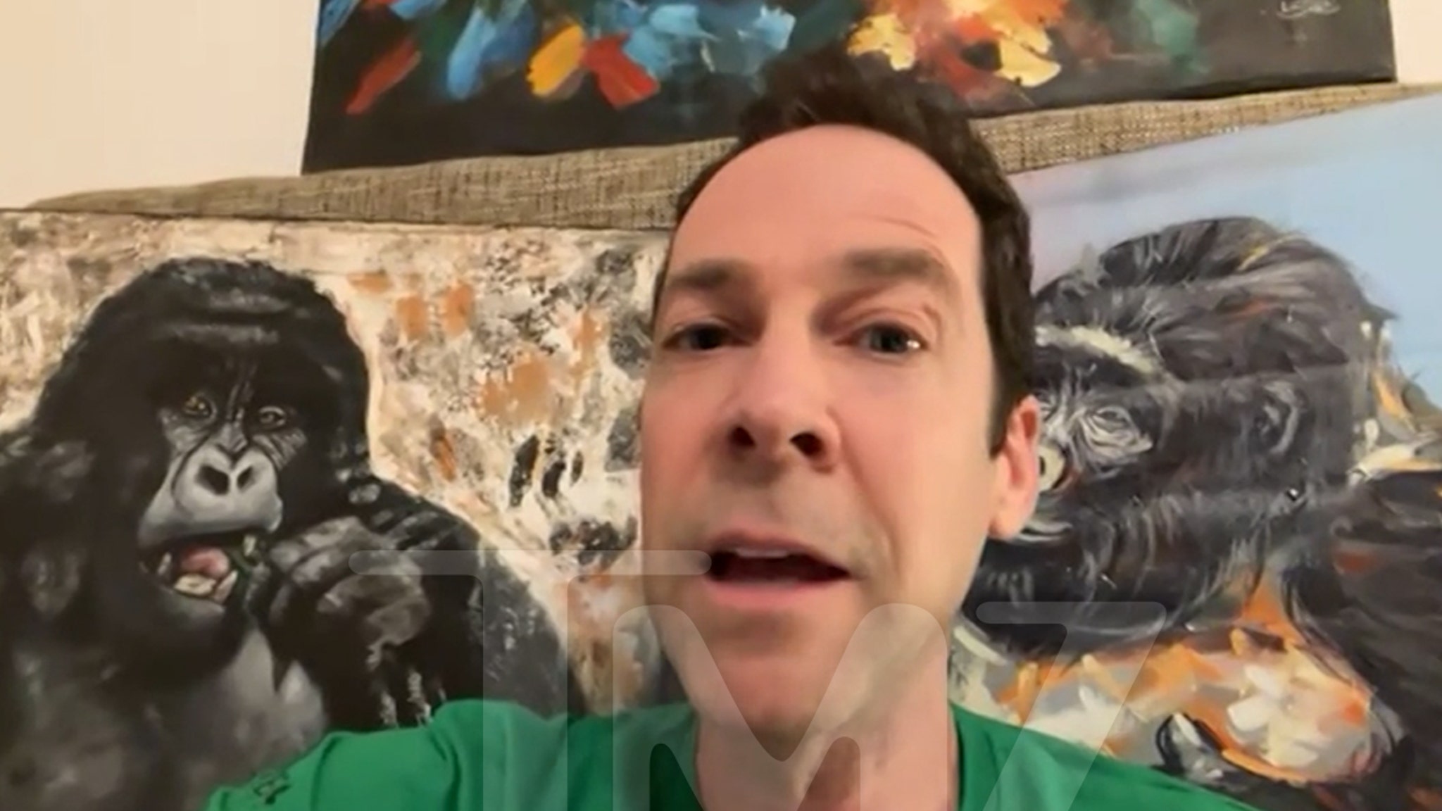 El mono viral llamado Punch necesita una madre de verdad que lo ame, dice un experto