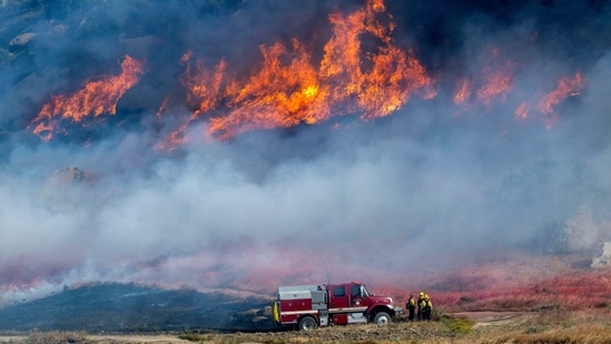 California-Wildfire-1_1775283555398_1775283569184.jpg