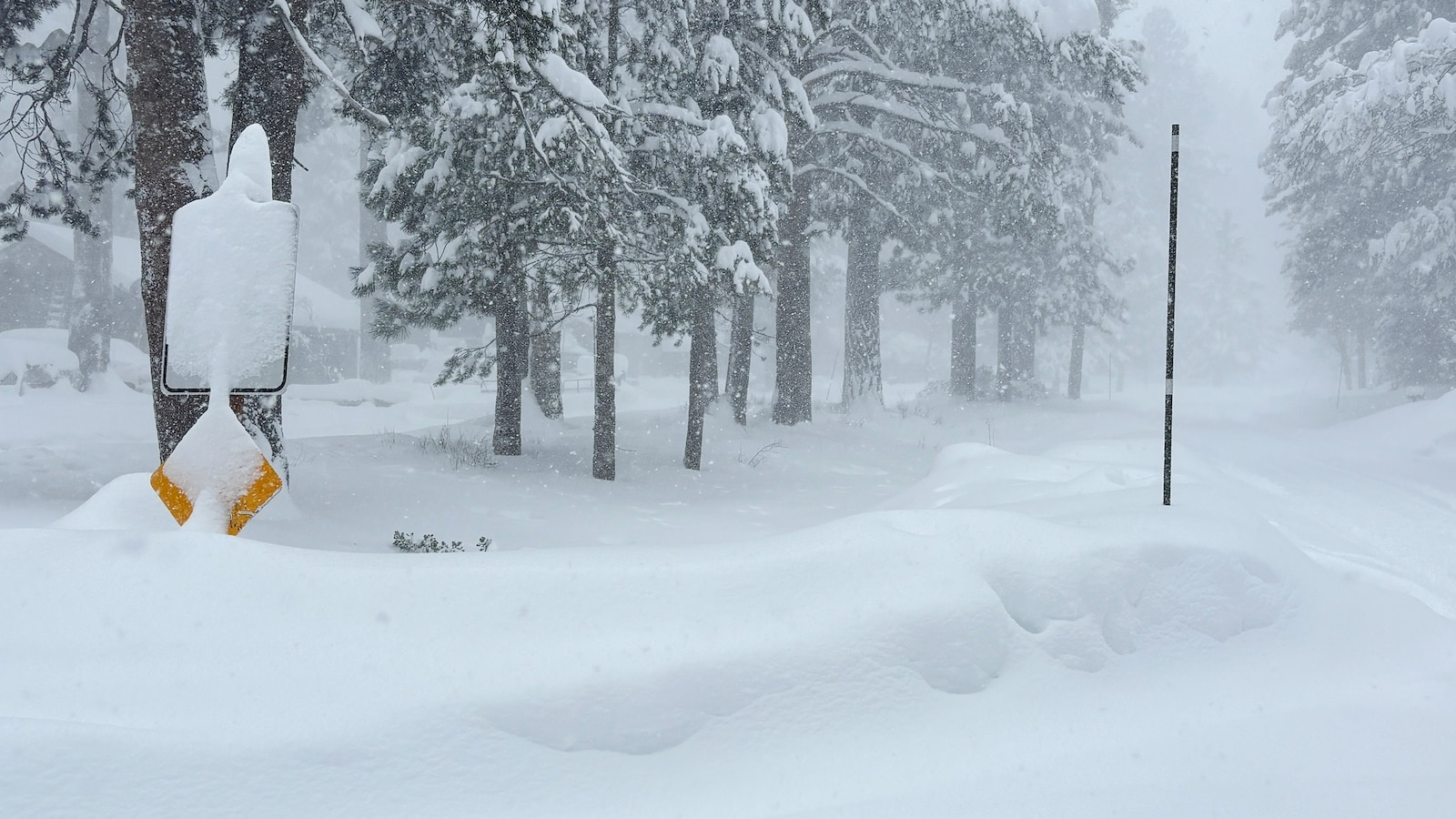 Varios esquiadores de travesía desaparecidos tras una avalancha en el norte de California: autoridades