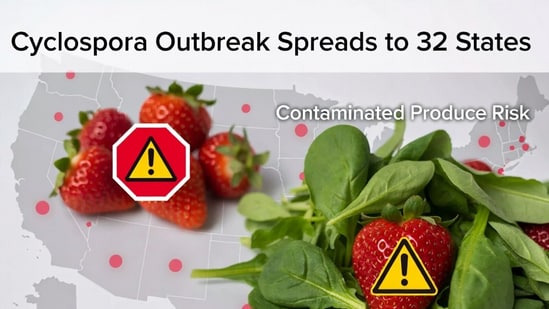 Brote de Cyclospora se extiende a 32 estados: síntomas y cómo protegerse