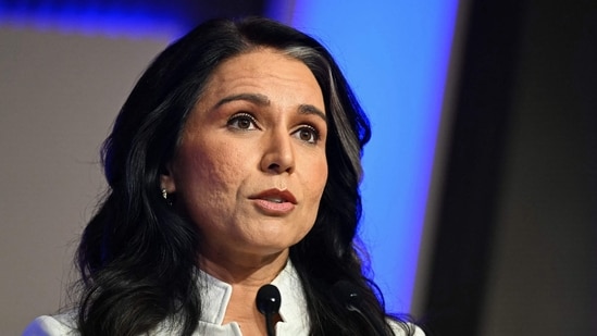 Los aliados de Trump tenían un apodo extraño para Tulsi Gabbard, una fuente hace una afirmación explosiva