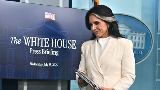 ¿Tulsi Gabbard renunció por motivos familiares o fue obligada a hacerlo? Lo que afirman los informes