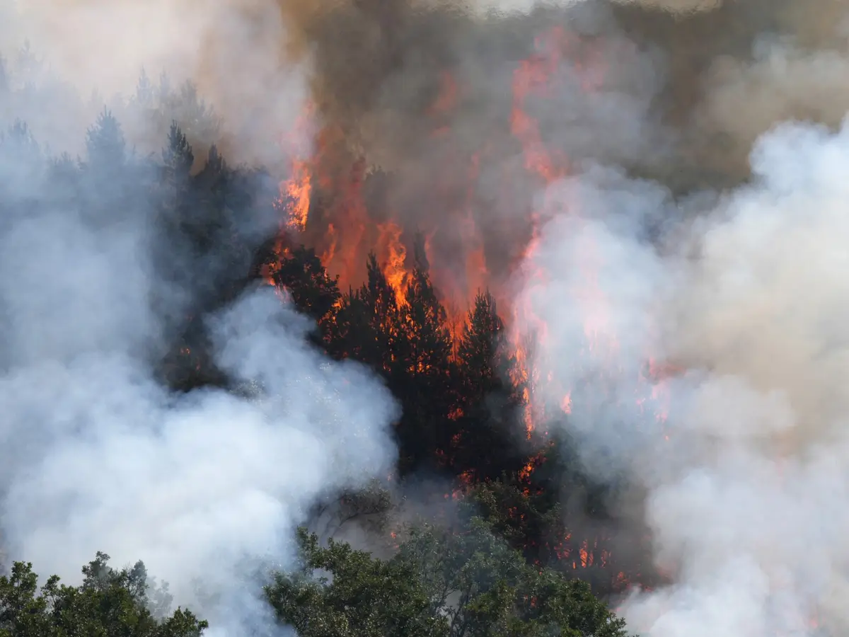 Global-Infrastructure-Losses-Hit-800-Billion-Annually-Due-to-Disasters.jpg
