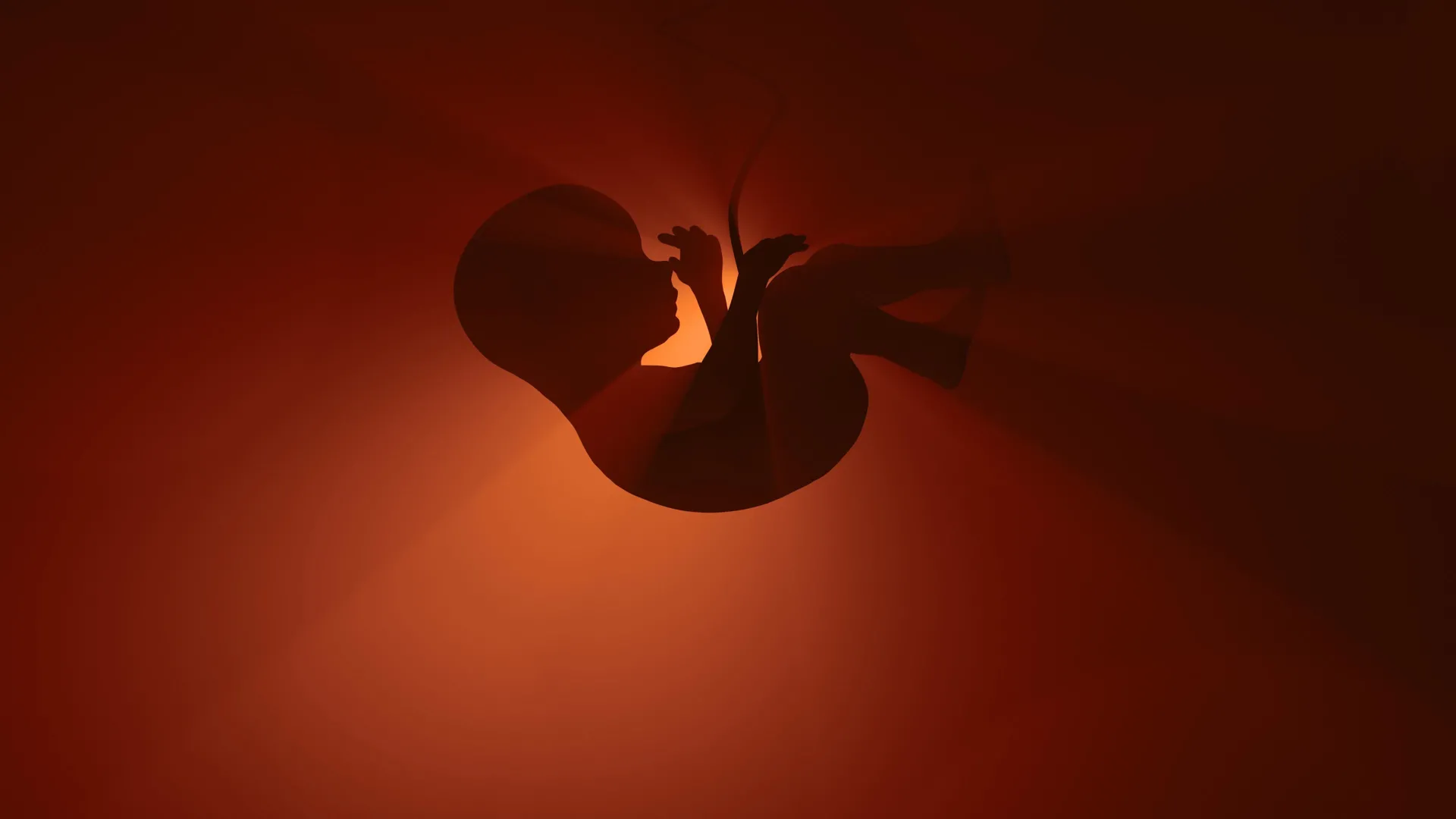 El aumento del acceso a medicamentos para las convulsiones en medio de riesgos de valproato plantea preocupaciones de seguridad