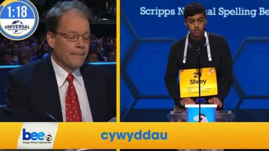 “¿Acaba de tirar cartas?” »: Shrey Parikh, de origen indio, logró “cywyddau” en el concurso de ortografía estadounidense. Esto es lo que significa