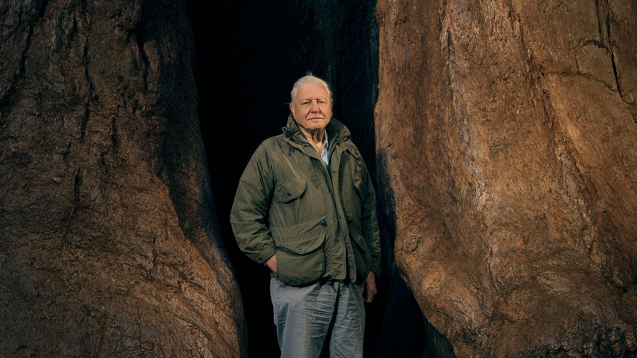 Lane_Attenborough_3.jpg
