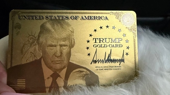 Por qué Nicki Minaj necesitaba la tarjeta dorada de Trump. ¿Cuánto pagó? Primeros detalles revelados