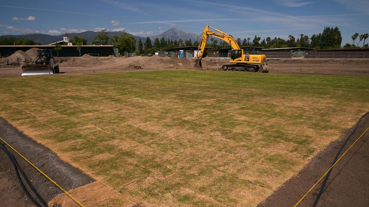 El estadio olímpico de cricket toma forma mientras comienza la cuenta regresiva de LA28