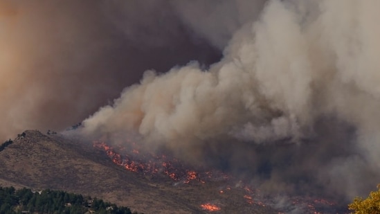 Incendio de Redwood Valley: Se levantó orden de evacuación después de un incendio forestal cerca de Vineyard Oaks Drive; el progreso se ha detenido