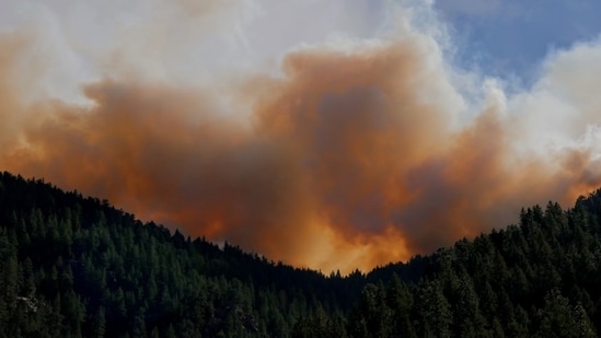 Incendio Santee en el ‘centro’: Un incendio forestal en River Rock Court en el condado de San Diego provoca humo; vídeos