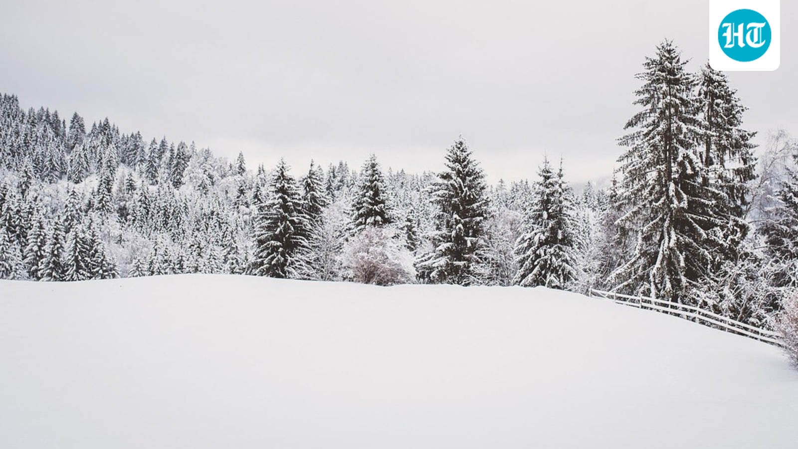 Snow_1765154652686_1765154652811.jpg