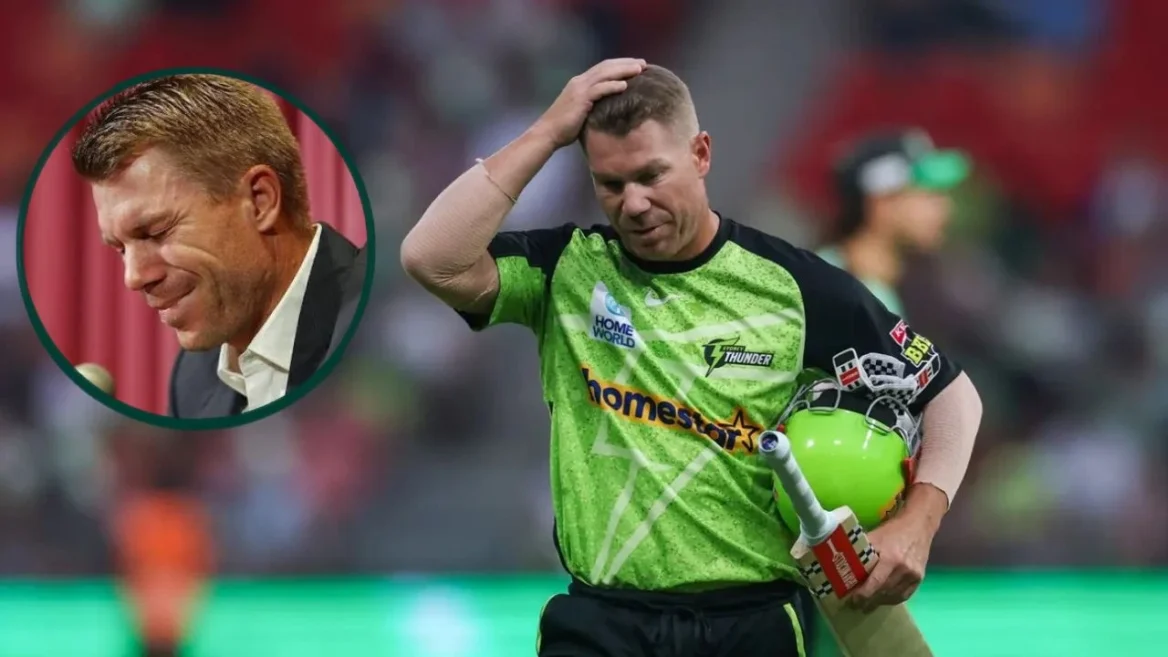El bateador estrella australiano David Warner se enfrenta a una pena de prisión tras declararse culpable ante el Tribunal Supremo de Sídney de los cargos de conducir bajo los efectos del alcohol.