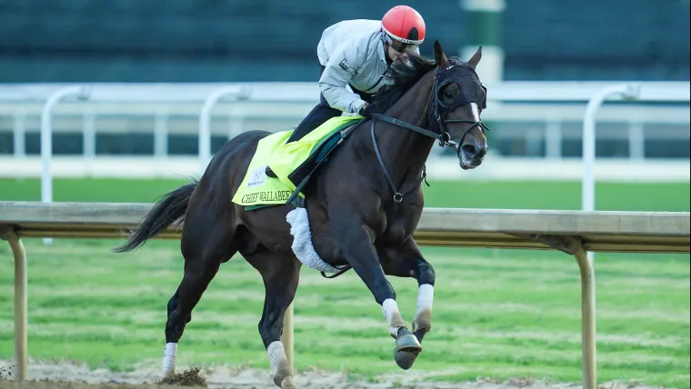El pedigrí del caballo del Jefe Wallaby se basa en Seattle Slew, AP Indy, y no en la Secretaría
