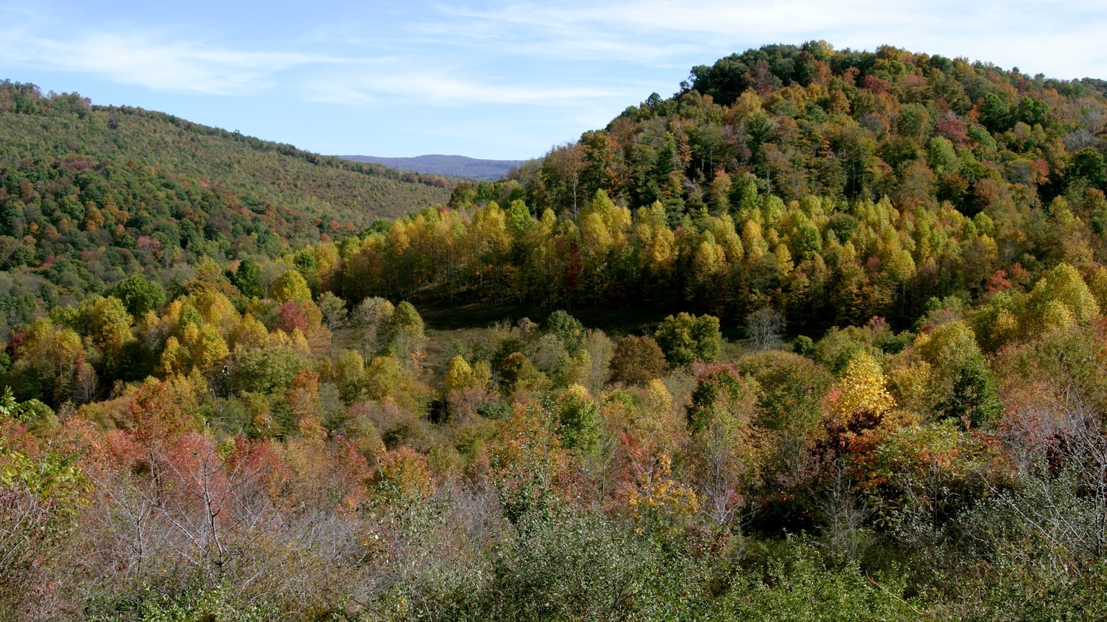 Minero de carbón desaparecido en Virginia Occidental fue encontrado muerto, dice el gobernador