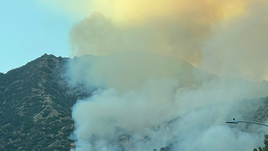 Incendio Azusa Canyon Zebra: Se produce un incendio forestal en el condado de Los Ángeles; revisa el mapa mientras aparecen videos de miedo